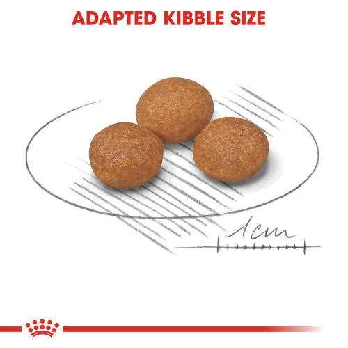 Royal Canin X-Small Adult +8 Dry Dog Food - Image 5