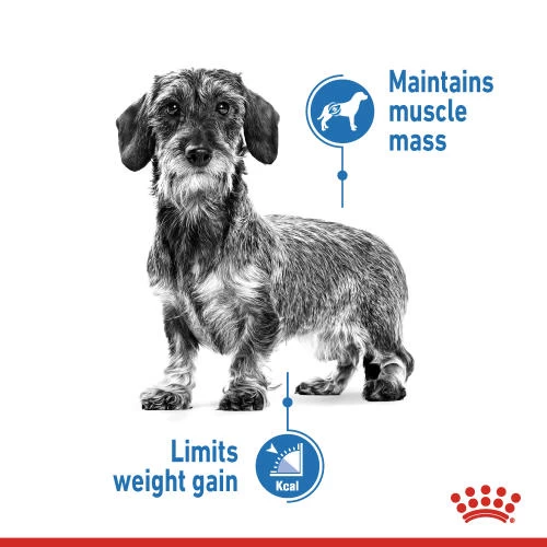 Royal Canin X-Small Light Weight Care Dry Adult Dog Food - Image 3