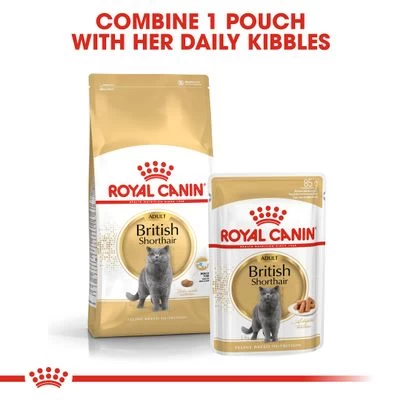 Royal Canin British Shorthair Adult In Gravy - Image 5