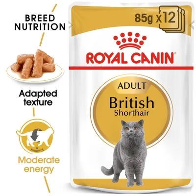 Royal Canin British Shorthair Adult In Gravy