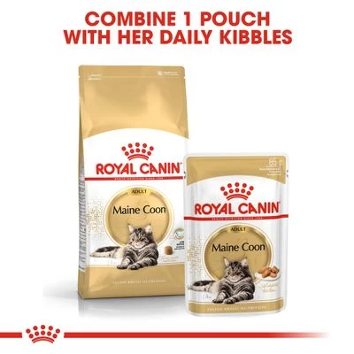 Royal Canin Maine Coon Adult In Gravy - Image 5