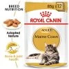 Royal Canin Maine Coon Adult In Gravy