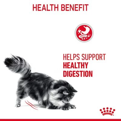 Royal Canin Digestive Care In Gravy - Image 5