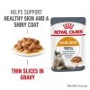 Royal Canin Hair & Skin Care In Gravy
