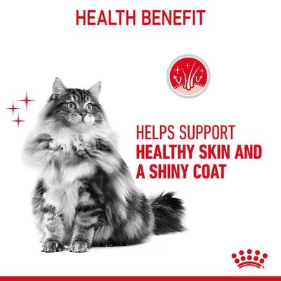 Royal Canin Hair & Skin Care In Jelly - Image 5
