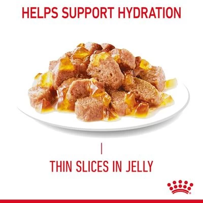 Royal Canin Hair & Skin Care In Jelly - Image 6