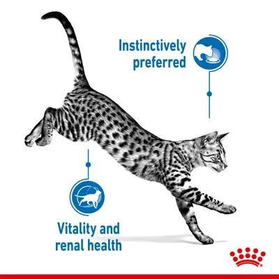 Royal Canin Indoor Sterilised 7+ In Gravy - Image 5