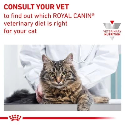 Royal Canin Veterinary Feline Skin & Coat In Gravy - Image 8