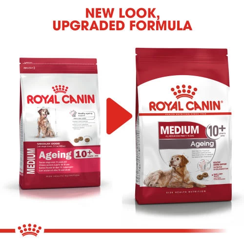 Royal Canin Medium Ageing 10+ Dry Senior Dog Food - Image 2