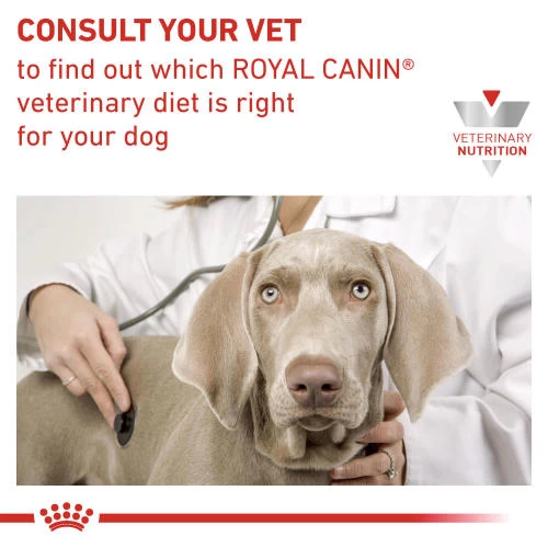 Royal Canin Veterinary Diets Hepatic Wet Adult Dog Food - Image 4