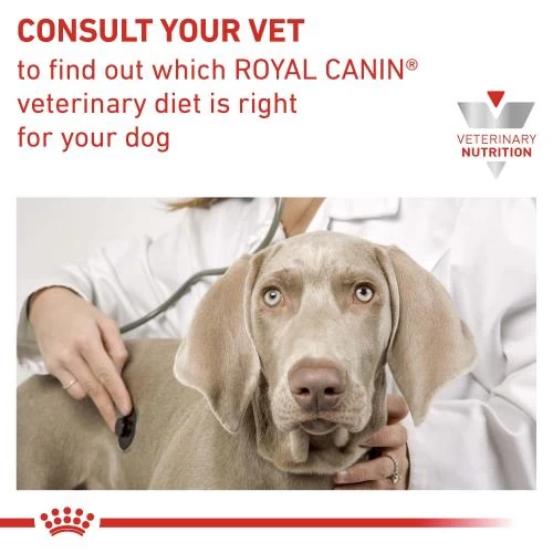Royal Canin Veterinary Diets Renal Special In Loaf Dog Food Cans - Image 4