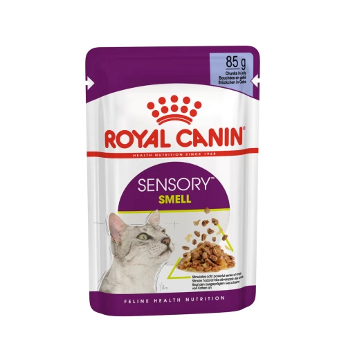 Royal Canin Sensory Smell In Jelly Wet Adult Cat Food