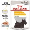 Royal Canin Dermacomfort Wet Adult Dog Food Pouches