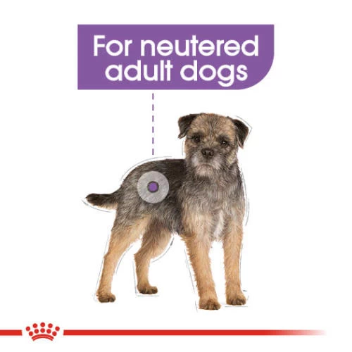Royal Canin Sterilised Care Wet Adult Dog Food Pouches - Image 3
