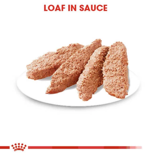 Royal Canin Digestive Care Wet Adult Dog Food Pouches - Image 3